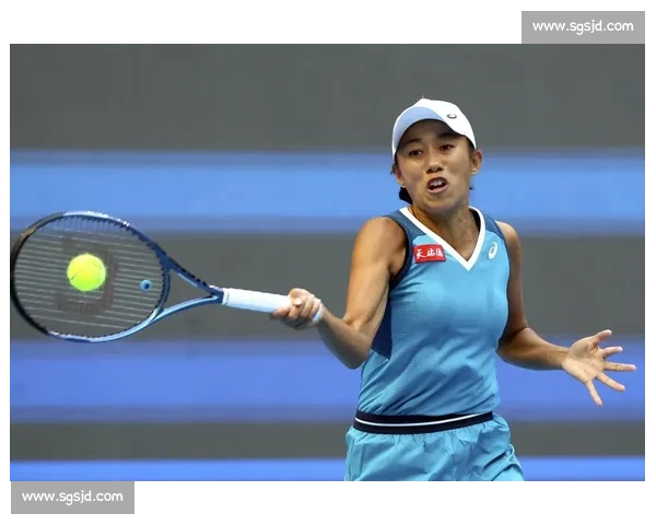 宁网惊天逆转!汤千慧组合抢十翻盘张帅 万卓索娃 宁网惊天逆转!汤千慧组合抢十翻盘张帅 万卓索娃